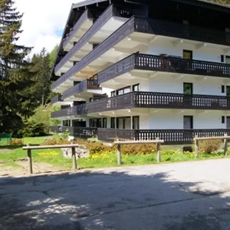 Apartment Androsace Chamonix