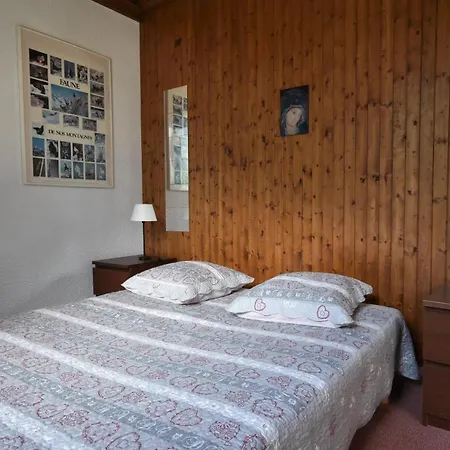 Androsace Chamonix