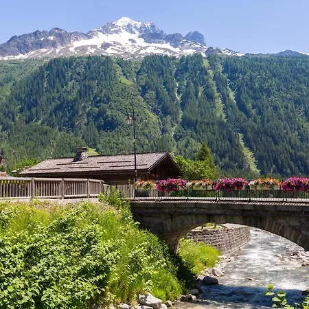 Androsace Chamonix