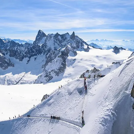 Androsace Apartment Chamonix