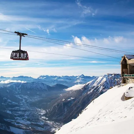 Androsace Chamonix