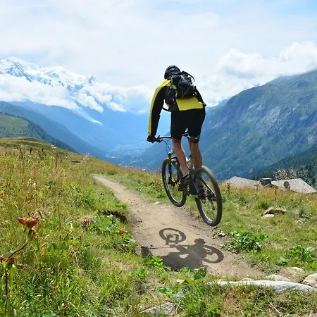 Androsace Chamonix