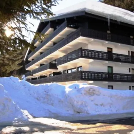 Androsace * Chamonix