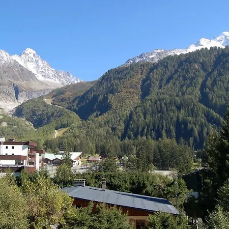 Androsace Chamonix