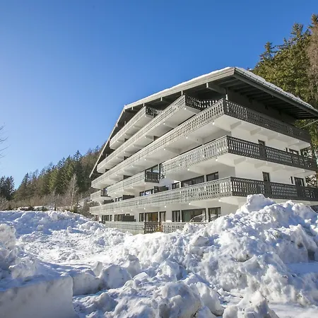 Androsace Apartment Chamonix